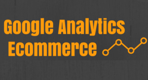 Google Analytics Ecommerce