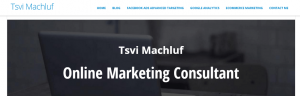 online marketing guy -tsvik.com